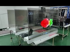 Прозрачный экран OLED