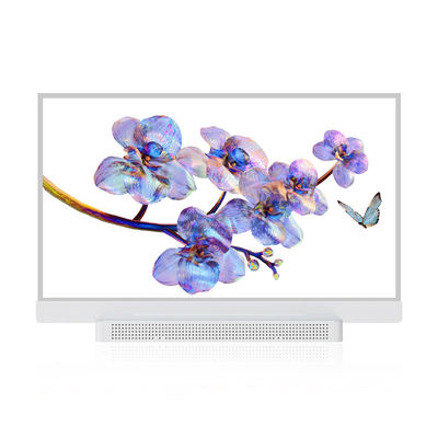 OEM ODM Прозрачный OLED экран, 55 Прозрачный OLED дисплей