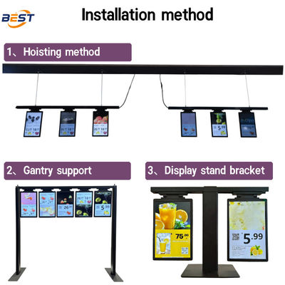 Full Color Dynamic Video Animated TFT ESL Display